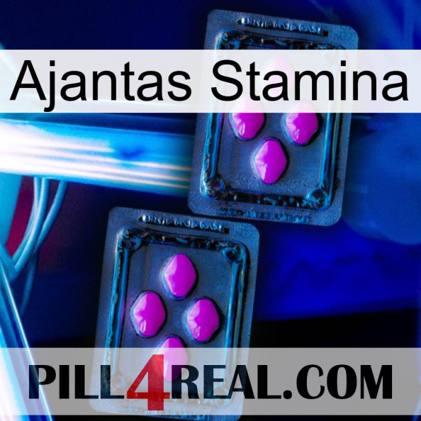 Ajantas Stamina 03.jpg